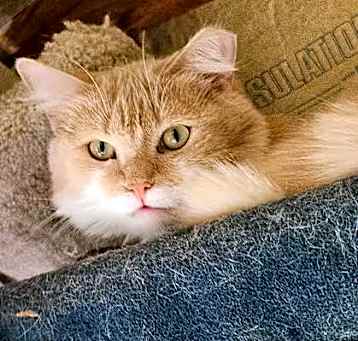 Photo of Darla