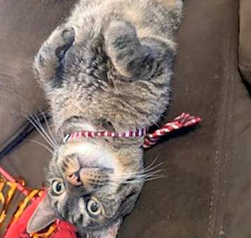Photo of Handsome!!