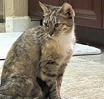Photo of Cybill