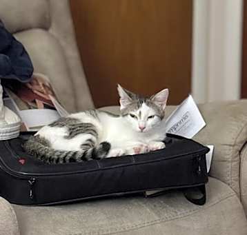 Photo of Smudge