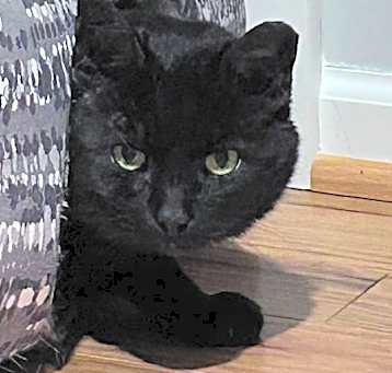 Photo of Starbuck