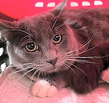 Photo of Quincy