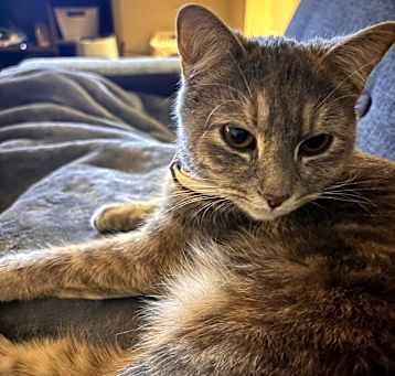 Photo of Rhea Jupiter