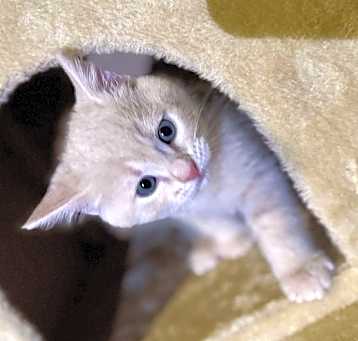 Photo of Georgie