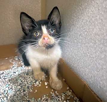 Photo of Juvie
