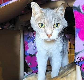 Photo of Gracie Mae