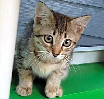 Photo of Hermione