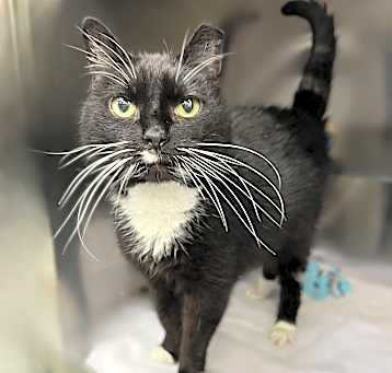 Photo of Bootsy Boo Boo