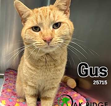 Photo of Gus