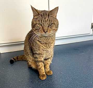 Photo of Hamish