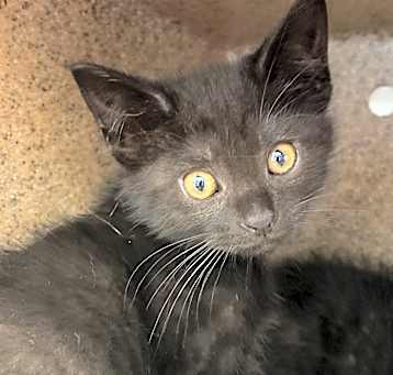 Photo of Fred