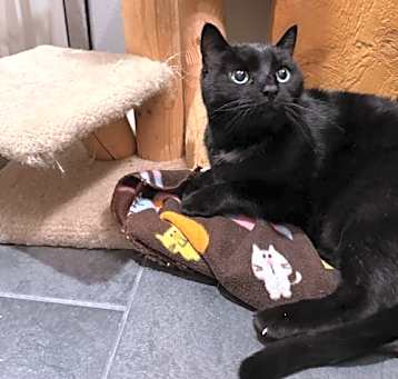 Photo of Turbo