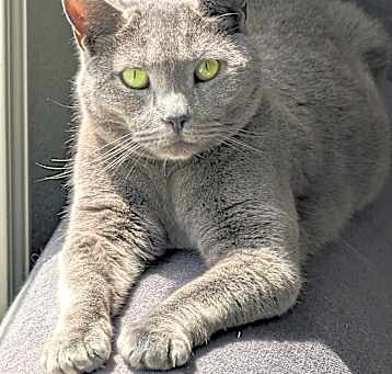 Photo of Luna