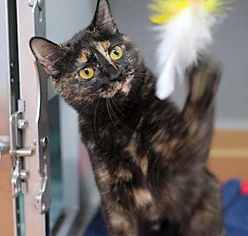 Photo of Stormy