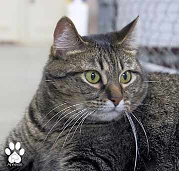 Photo of Pretty Girl