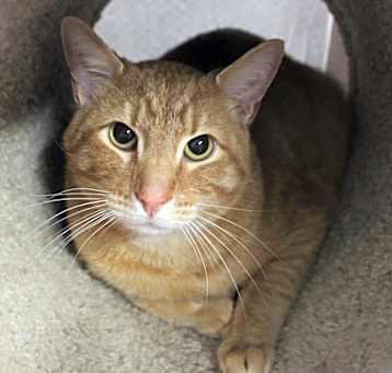 Photo of Gunther