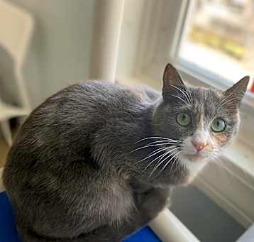 Photo of Bindle
