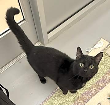 Photo of Storm