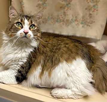 Photo of FREYA