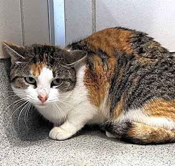 Photo of TATER