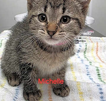 Photo of Michelle