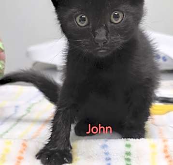 Photo of John