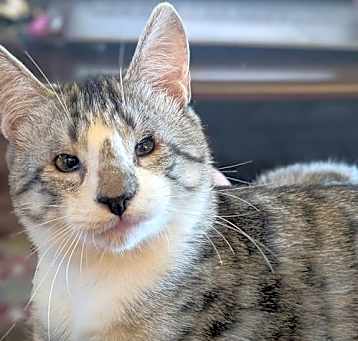 Photo of Winnie