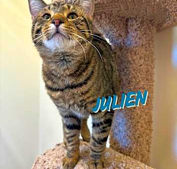 Photo of Julien