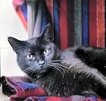 Photo of Ebeneezer