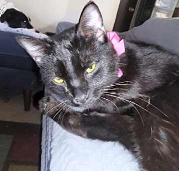 Photo of Nona