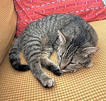 Photo of Paula