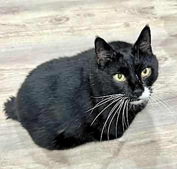 Photo of Bob