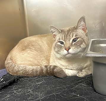 Photo of roscoe