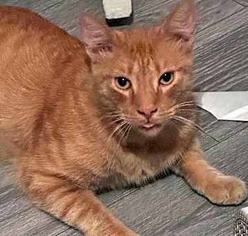 Photo of Wonky