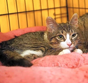 Photo of Madeline