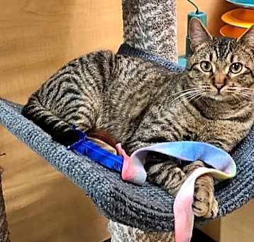 Photo of Mr. Tiddlywinks