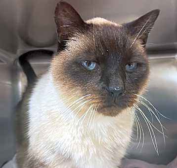 Photo of Ralph