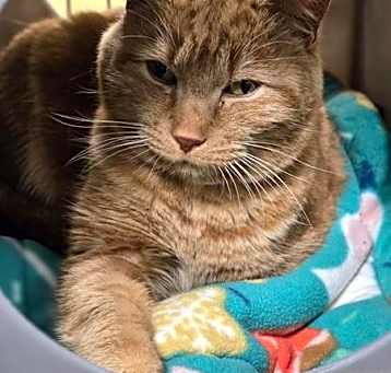 Photo of Winston