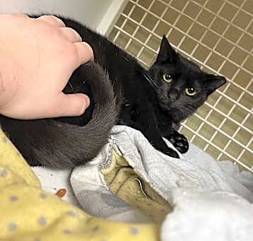 Photo of Void