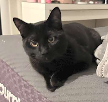 Photo of Oni