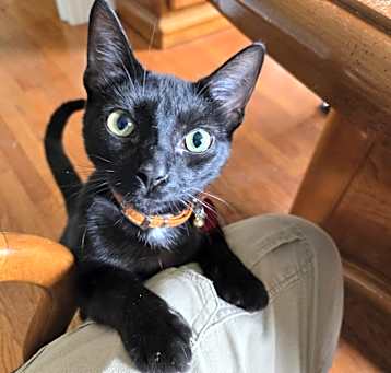 Photo of Nochie