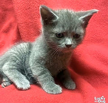 Photo of Mindie