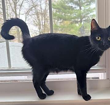 Photo of Frankie