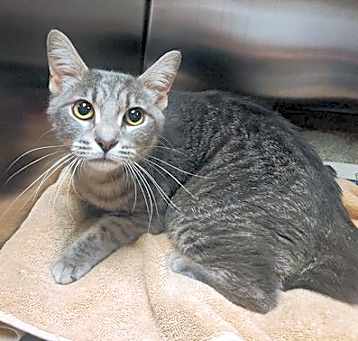 Photo of Betsie