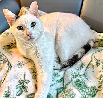 Photo of Peggy