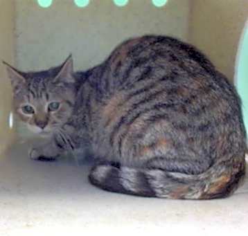 Photo of A5695168