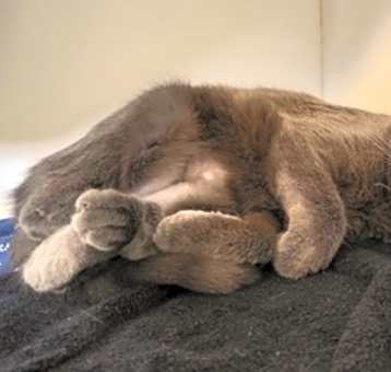 Photo of Toots