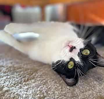 Photo of Penelope