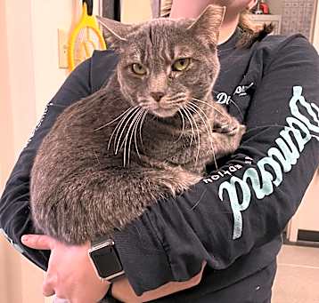 Photo of Duchess
