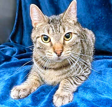 Photo of Lucky